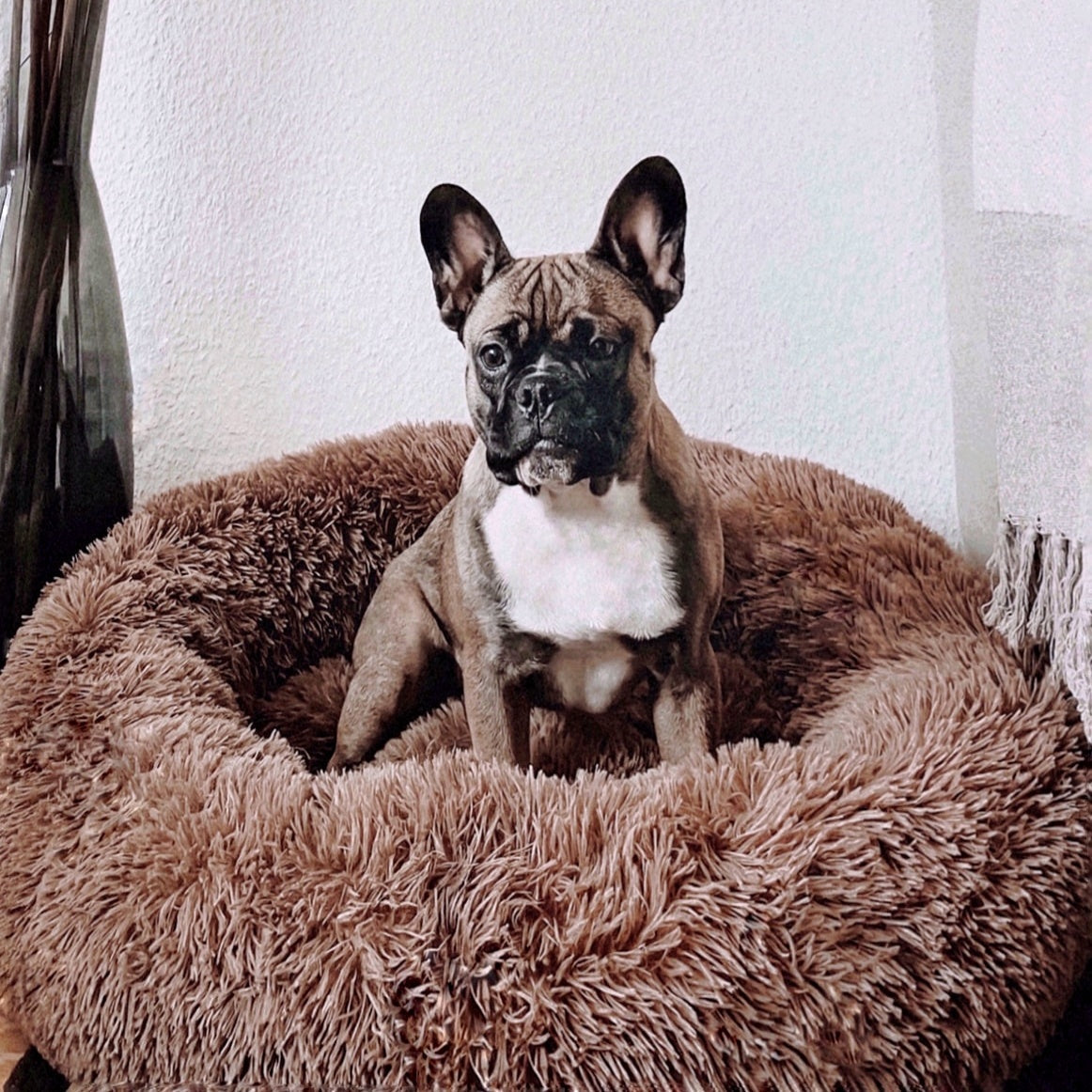 Hundebett Wolke 7 Plus - Abnehmbarer Bezug - Weiche Wollfüllung