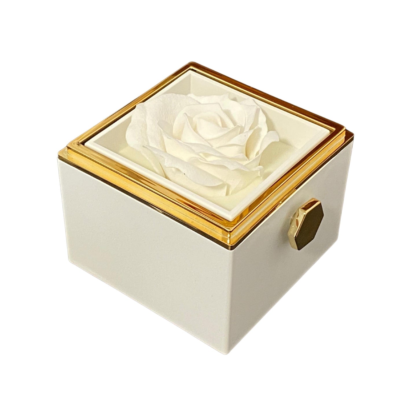 Eternally Preserved Rotating Rose Box - W/ Engraved Heart Necklace