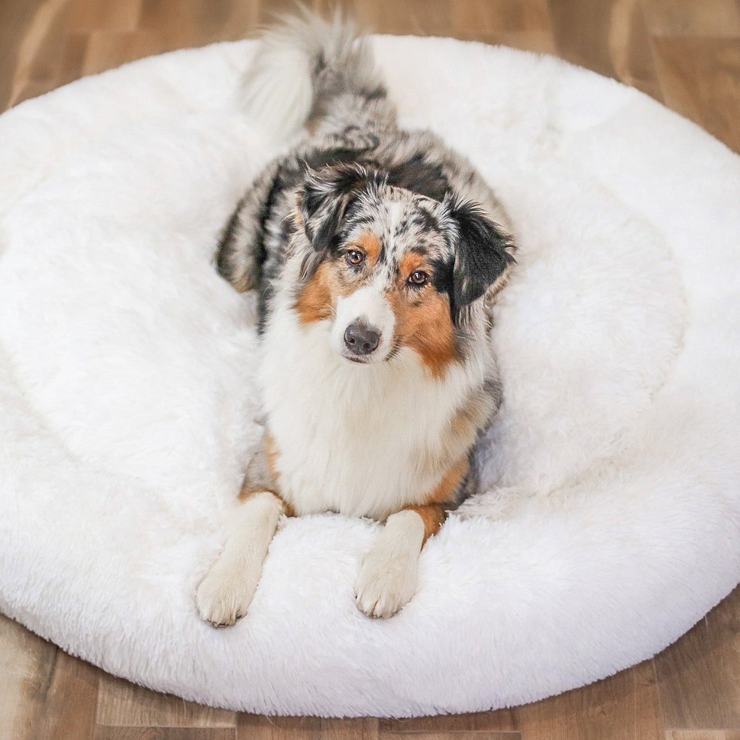 Hundebett Wolke 7 Plus - Abnehmbarer Bezug - Weiche Wollfüllung