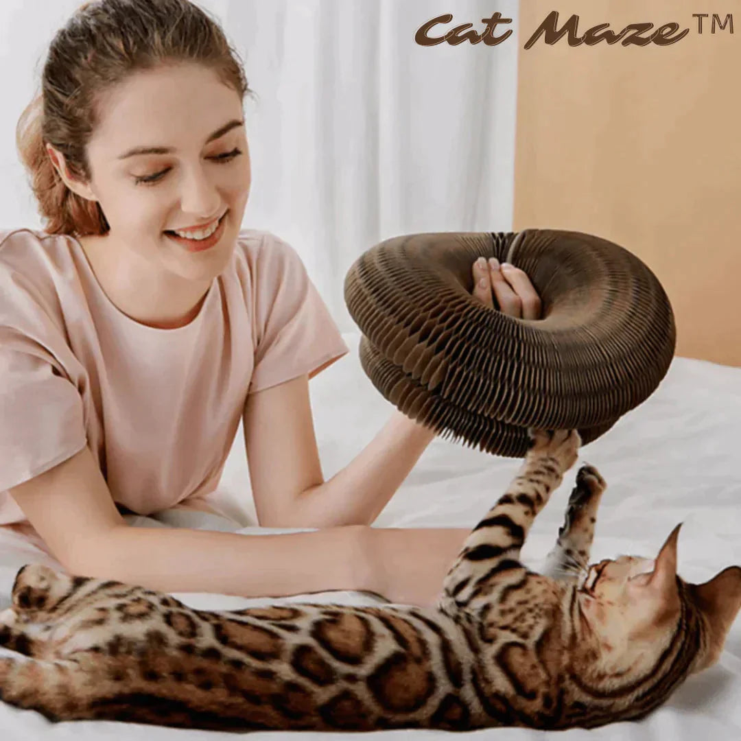 Juguete Cat Maze™ para gatos