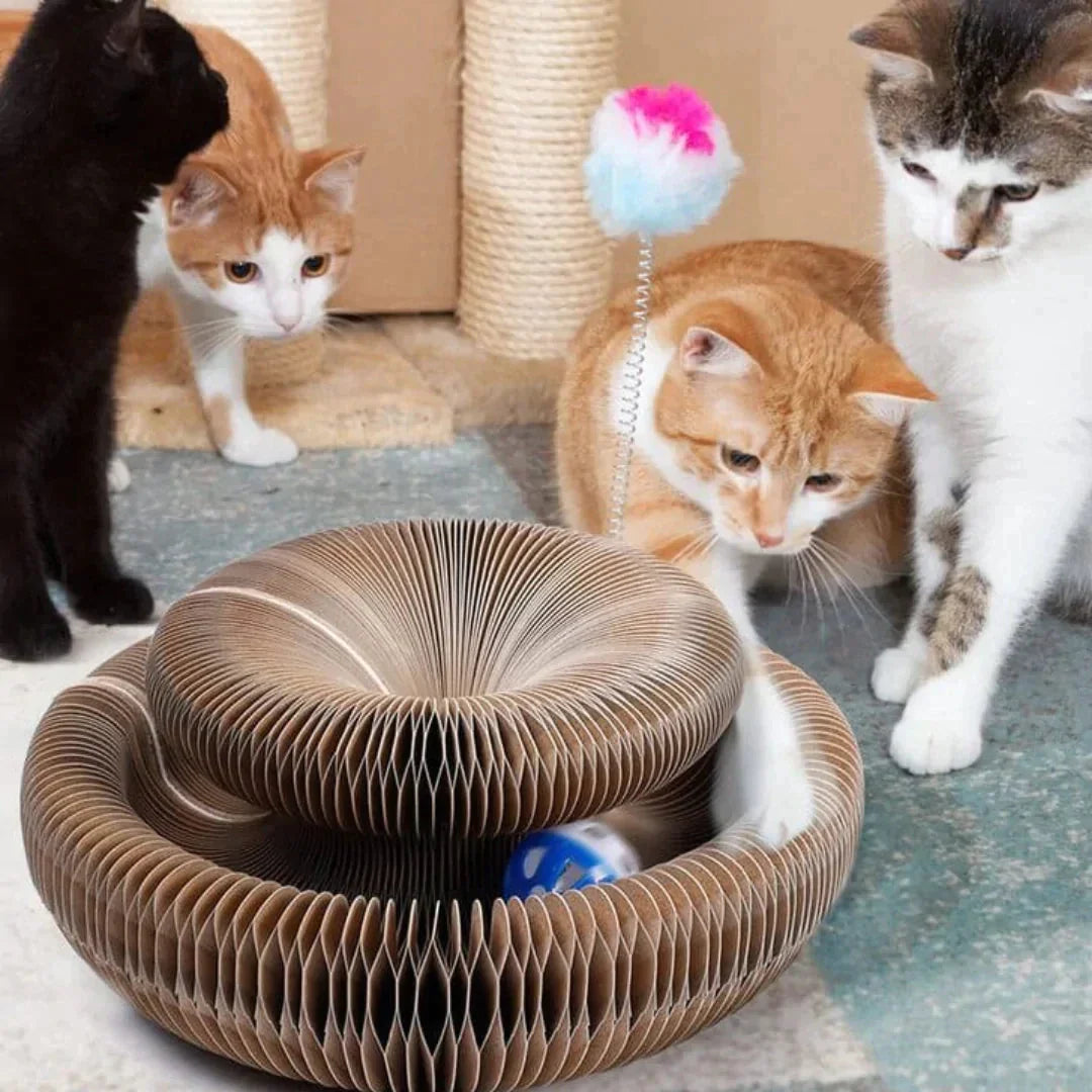 Cat Maze™ toy for cats